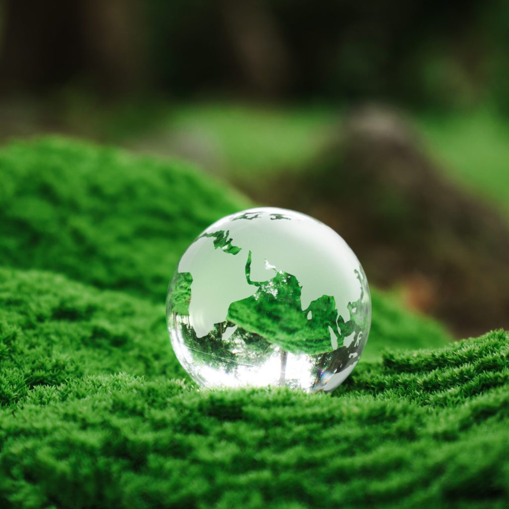 Crystal earth on green Moss. World Environment Day. renewable en