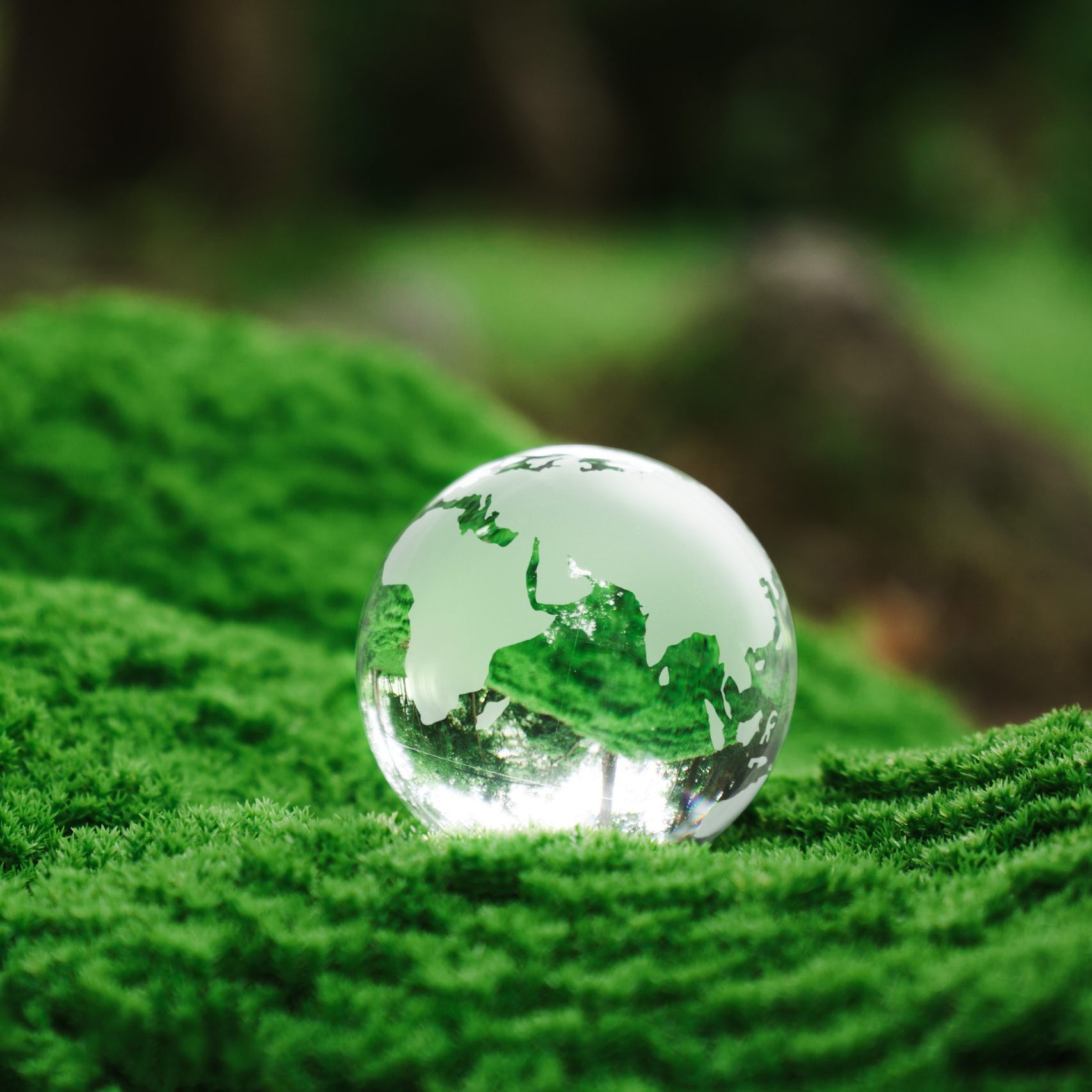 Crystal earth on green Moss. World Environment Day. renewable en